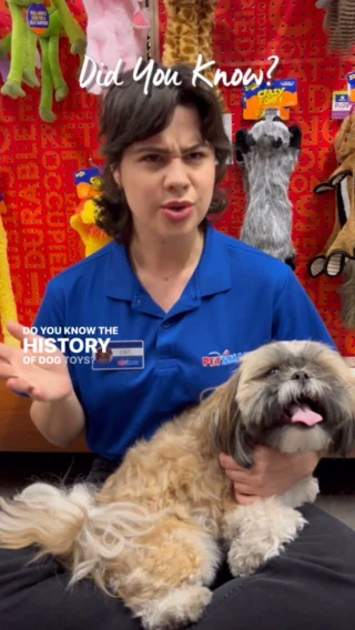 What kind of toys were dogs in the 1920’s playing with? Cat and Greg look at the history of dog toys. 🐶 #anythingforpets #petsmart #dog #dogsofinstagram #funfacts
