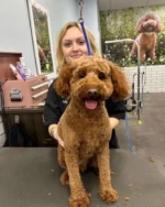 Another paws-itively amazing week with our incredible team! 🐾 In this PetSmart Recap we’re thanking all our amazing stylists that help every pet look and feel their best. Shout out your pet’s groomer in the comments below. @lifeatpetsmart @tallahassee_petsmart @petsmart_of_westerly #petsmart #anythingforpets