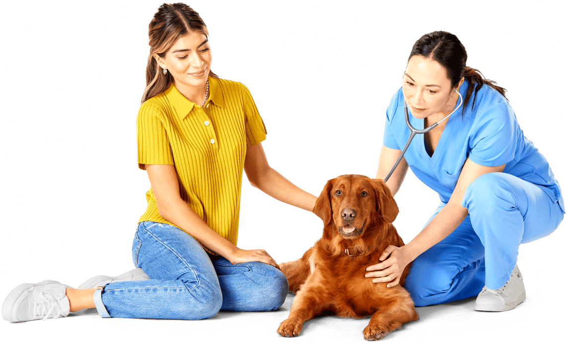 vet sitting with dog and woman