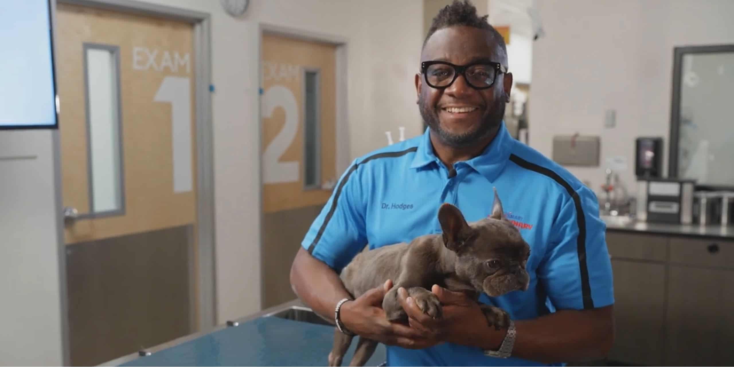 vet holding small dog