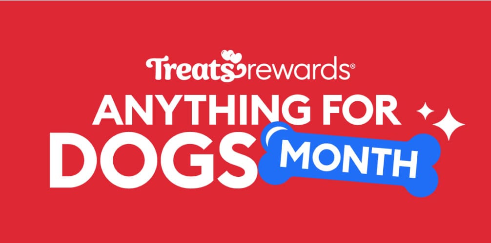 Anything for dogs month