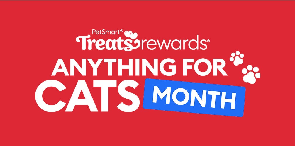 Anything for cats month