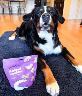 The math is mathing: one trick = one treat. Maybe two, just for being extra cute 🐾🍪  What’s your pet’s go-to trick for snacks? Share their tactic in the comments 🐶  #petsmart #anythingforpets #dogtreats #dogtricks #dogtraining #dogsoﬁnstagram