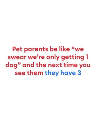 Manifesting self-control...and walking out with two more besties 🐾  How many pets did you plan to get vs. how many you actually have? Spill in the comments 👇  #petsmart #anythingforpets #petparents #petparentlife #petparentthings #multipethousehold