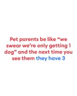 Manifesting self-control...and walking out with two more besties 🐾  How many pets did you plan to get vs. how many you actually have? Spill in the comments 👇  #petsmart #anythingforpets #petparents #petparentlife #petparentthings #multipethousehold