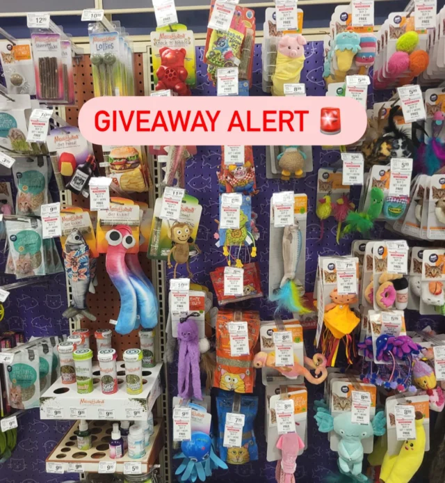 It’s time for an Anything for Cats Month Scavenger Hunt! 🐱 Five cats (and their pet parents) will each earn 25,000 Treats Rewards points—that’s $50 in PetSmart savings PLUS VIPP status! 🏆  Here’s how to enter:  1. Go to your local PetSmart and take a photo of a new cat toy in its packaging  2. Post it to Instagram with @PetSmart tagged and use #AnythingforCatsMonthPhotoScavengerHunt in the caption  3. Don’t forget to like this post & follow @petsmart  No Purchase Necessary. U.S. 18+. Must be a Treats Rewards member. Ends 7/20/25. See link in bio for rules & eligibility  #petsmart #anythingforpets
