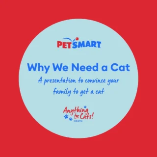 Anything for Cats Month is here, and it's the perfect time to convince your family to get a cat! 🐱 We have you covered with a presentation and all the talking points you'll need. Check out our Learning Center article for more info! (link in bio) #anythingforpets #petsmart #anythingforcatsmonth #cat #catsofinstagram