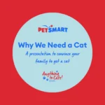 Anything for Cats Month is here, and it's the perfect time to convince your family to get a cat! 🐱 We have you covered with a presentation and all the talking points you'll need. Check out our Learning Center article for more info! (link in bio) #anythingforpets #petsmart #anythingforcatsmonth #cat #catsofinstagram